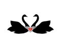 Birds in love with winged red heart decoration. Couple of swans Royalty Free Stock Photo