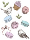 Birds, macarons, cupcake, ribons and roses. Royalty Free Stock Photo