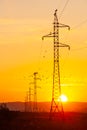 Birds making nests on power poles against orange sunset on background Royalty Free Stock Photo