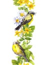 Birds in meadow herbs. Floral watercolor. Seamless border stripe