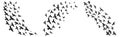 Birds migration flock silhouettes. Flocked flying crows pigeons seagulls black designs on white sky