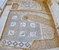 Birds mosaics in Roman Villa, Alexandria, Egypt