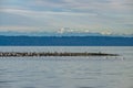 Birds And Mountains 2