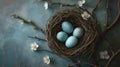 Birds Nest With Three Eggs Royalty Free Stock Photo
