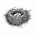 Birds Nest with Eggs Hand Drawn Vector Illustration