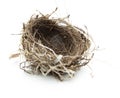 Birds nest isolated on white.