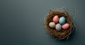 A birds nest with pastel Easter eggs, each uniquely painted with unique pattern on a solid background Royalty Free Stock Photo