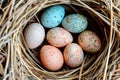 A birds nest with pastel Easter eggs, each uniquely painted with unique pattern on a solid background Royalty Free Stock Photo