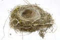 Birds Nest on white background