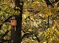 Birds nesting-box Royalty Free Stock Photo