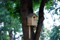 The birds nesting box is beaten on a tree. A lodge for birds. Summer landscape. Royalty Free Stock Photo