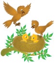 Birds and nestlings