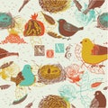 Birds and Nests Background Royalty Free Stock Photo