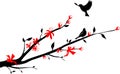 Birds on an Oriental cherry branch