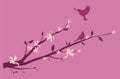 Birds on an Oriental cherry branch