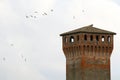 Birds over a castle's tower