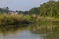 Birds over the Rapti river in Chitwan, Nepal Royalty Free Stock Photo