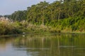 Birds over the Rapti river in Chitwan, Nepal Royalty Free Stock Photo