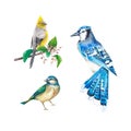Birds painted in watercolor on a white background. Blue jay, tit. A set of isolated birds. Watercolor illustration. Suitable for Royalty Free Stock Photo