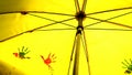 Birds Painting On Yellow Umbrella