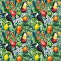 Birds, Palm leaves, pomegranate fruit and flowers, tropical background, watercolor jungle. Floral Seamless pattern Royalty Free Stock Photo