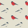 Birds pattern