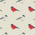 Birds pattern