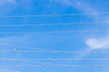 Birds perched on a wide against the blue sky