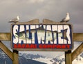 Birds perching on a fishing charter company`s sign at seward