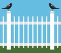 Birds on a Picket Fence Royalty Free Stock Photo