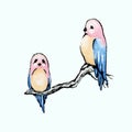 Birds with a pink heads