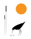 Bird silhouette and bamboo on sunset, vector. Water bird, illustration Royalty Free Stock Photo