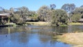 Birds at a pond in the Shortland Wetlands Centre