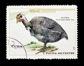 Birds on postage stamps