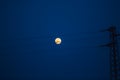 Birds on a power line, profiled against sky and rising full moon Royalty Free Stock Photo