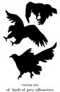 Birds of prey silhouettes Royalty Free Stock Photo