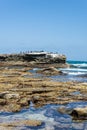 Birds rest on a rock in La Jolla California