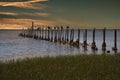 Birds Resting on Pylons on Saint Marks River