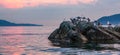 Birds on a rocky island in Howe Sound. Cloudy Sunset. West Coast Pacific Ocean Royalty Free Stock Photo