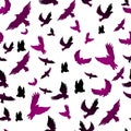 Birds in seamless pattern Royalty Free Stock Photo