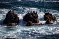 Birds on seastacks on the Pacific Ocean