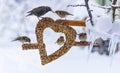 Birds on seed heart ornament in winter Royalty Free Stock Photo