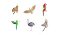 Birds set, eagle, falcon, hummingbird, ostrich, parrot, quezal bird, colorful polygonal low poly geometric design