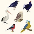 Birds set