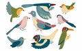 Birds set vector illustration in cartoon style. Flying little cute birds collection of robin, jay, magpie, pigeon, woodpeckers, Royalty Free Stock Photo