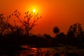 Birds silhouette sunset and colors in sky beauty of nature like painting at keoladeo national park or bharatpur bird sanctuary Royalty Free Stock Photo