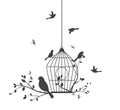 Birds silhouette with tree and birdcage Royalty Free Stock Photo