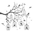 Birds silhouette with tree and birdcage Royalty Free Stock Photo