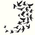 Birds silhouette vector background Royalty Free Stock Photo