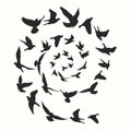 Birds silhouette vector illustration. Abstract background Royalty Free Stock Photo